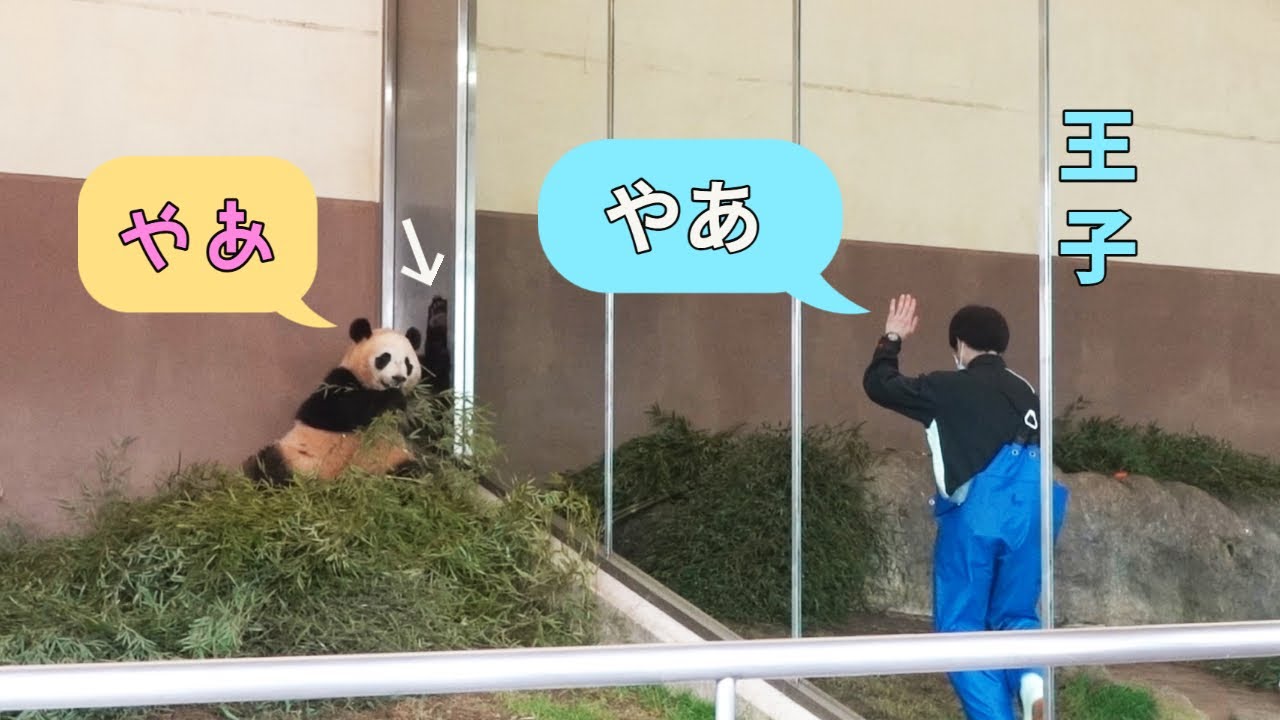 ドキドキ、手を上げた楓浜に「やあ」と一声、じ～っと手を上げて見つめながら食べている😆