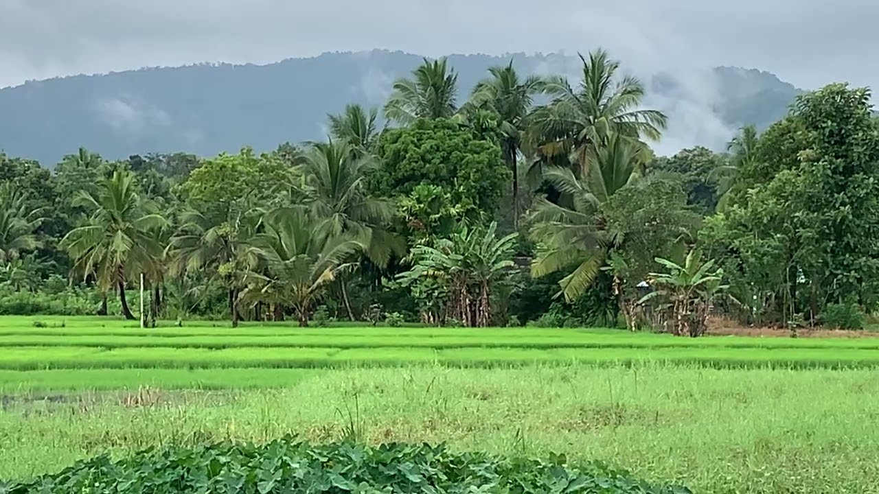 lakegala kaduweatiya / ලකේගල කදුවැටිය /2026/02/14