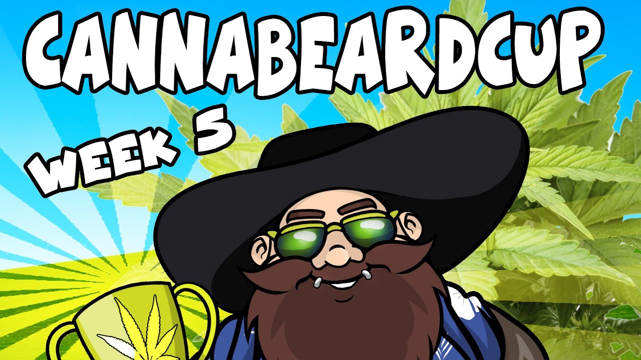 CANNABEARD CUP - cUpdate - week 5 #ILGM