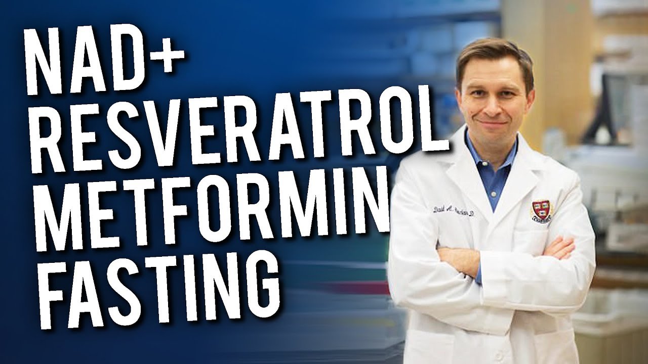 Dr David Sinclair Describes His Entire Longevity Routine