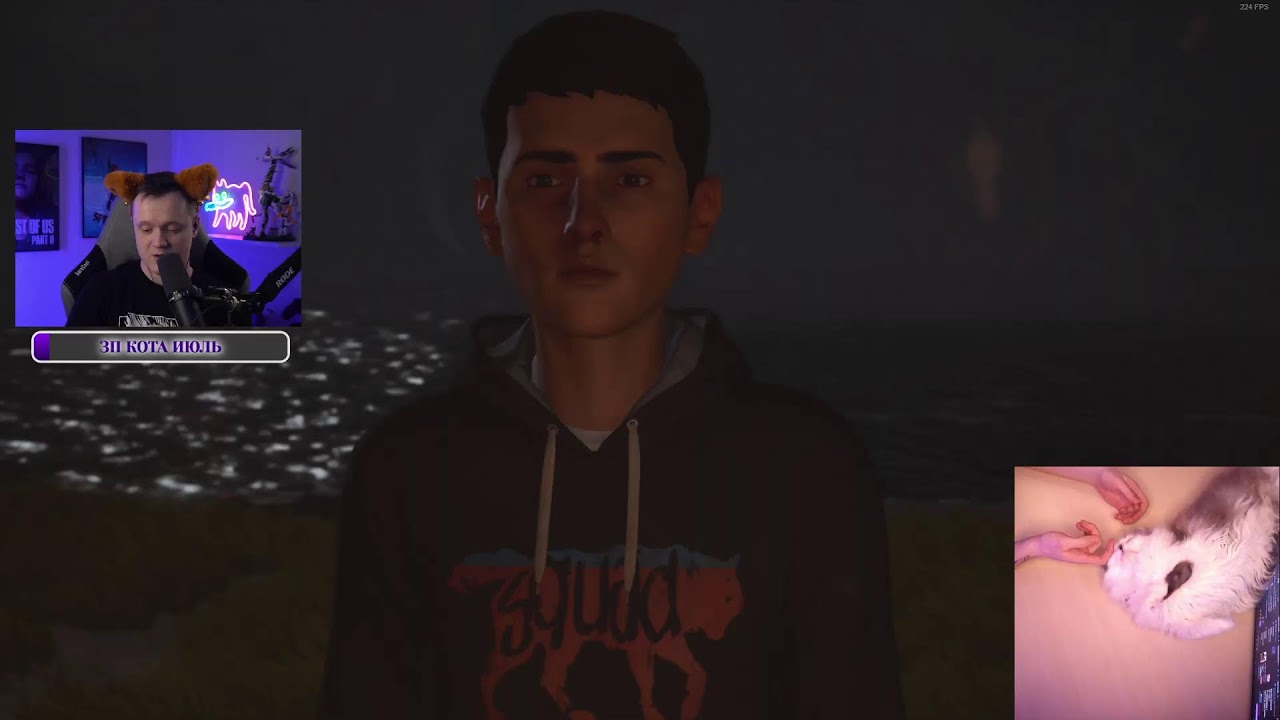 LiS2 | ПРЕДЫСТОРИЯ И ИСТОРИЯ