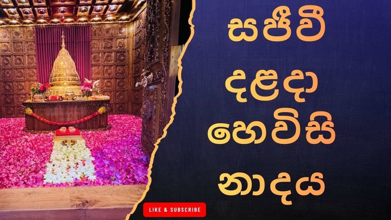 දළදා මාලිගාවේ සවස් තේවා හේවිසි – හදවත පිරිසිදු කරන නාදය 🎵 SIRI DALADA THEWA HEVISI NADAYA