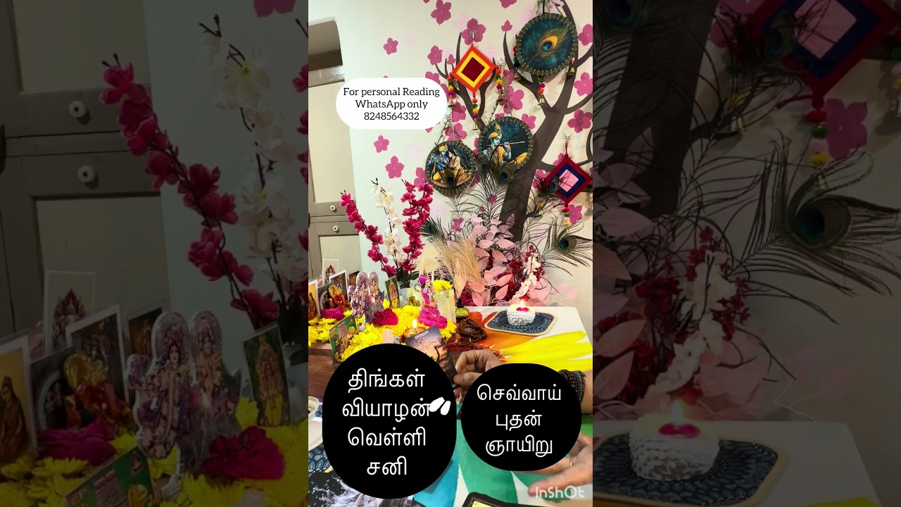 Complete situation of your love life , future predictions, tamil tarot reading