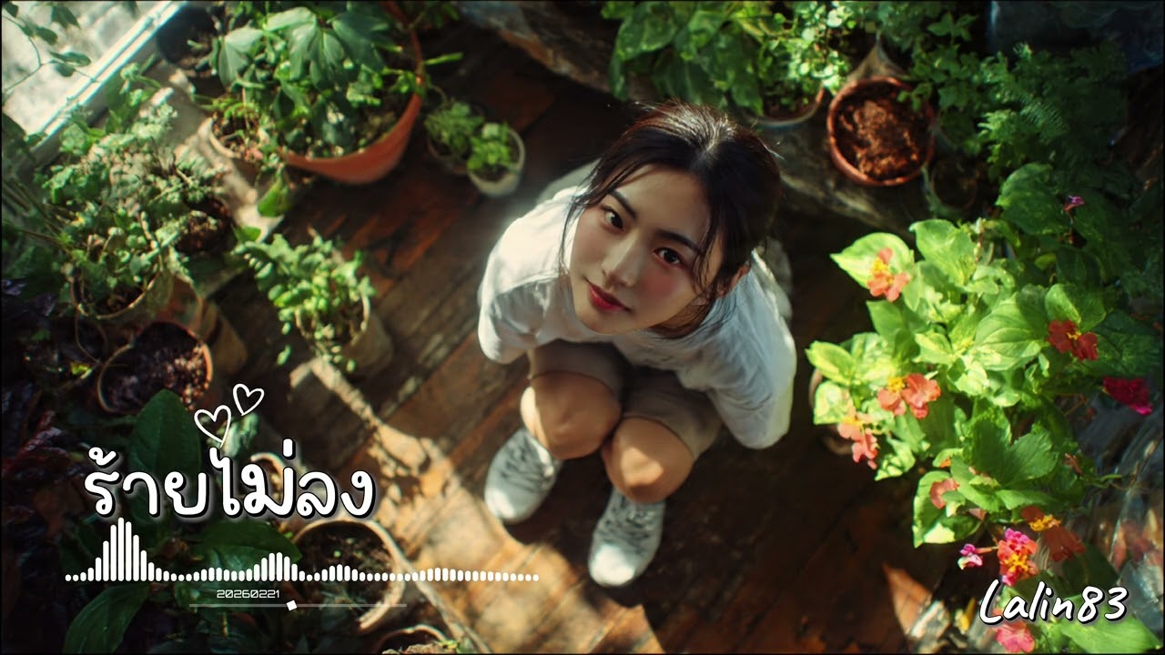 ร้ายไม่ลง