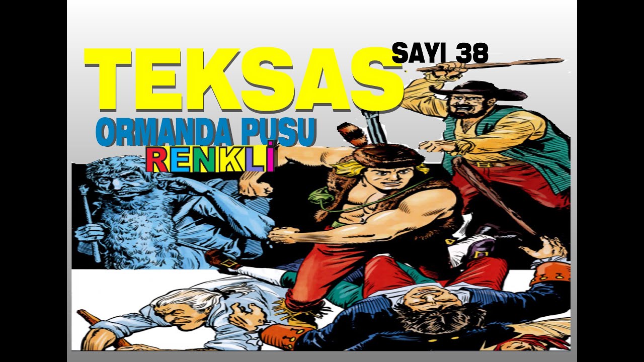 TEKSAS ( ORMANDA PUSU ) RENKLİ SAYI 38