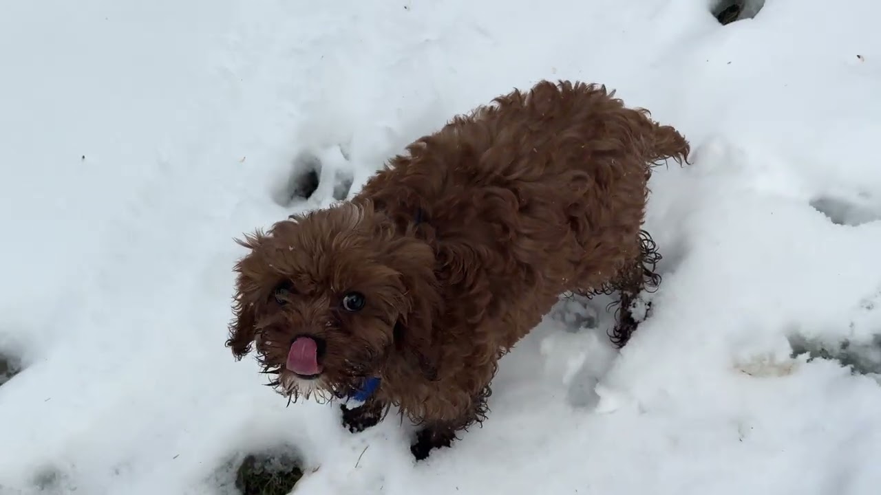 Benson Outdoor Training Session 12/17