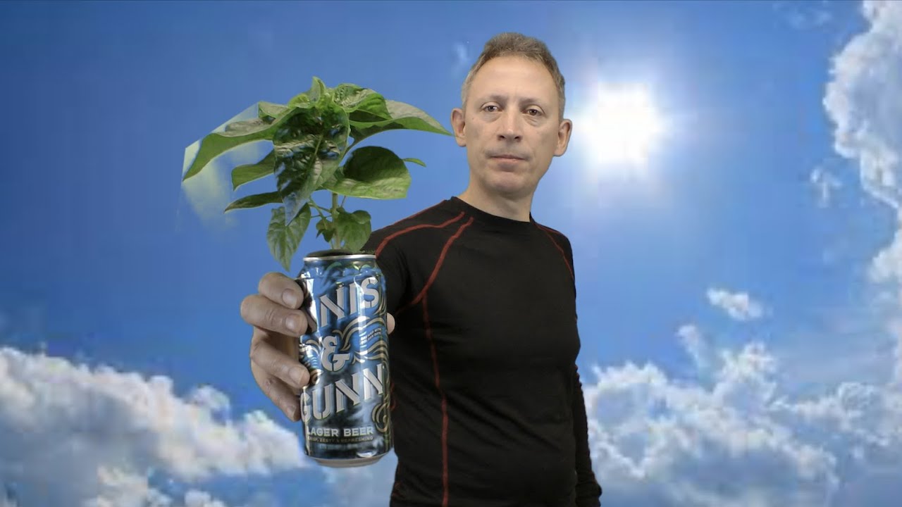 Recycle KeyKeg projects | Quick easy Kratky tin can plant grower #shorts