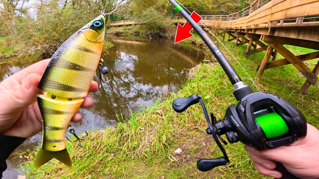 Cette petite rivière bretonne cache de GROS POISSONS - (Pêche au leurre) - feat @LéanaFishing