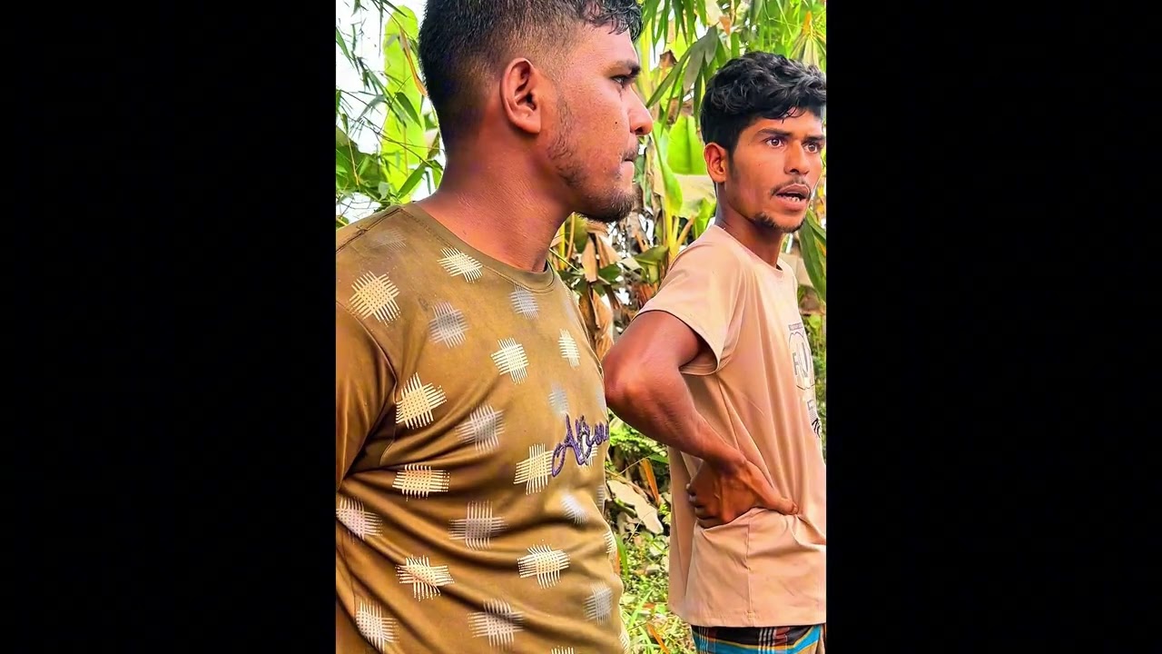 ফরিদগঞ্জ উপজেলায় সড়ক পথে ধানুয়ার আগে প্রাইভেটকার ও মোটর সাইকেল আঘাত আনে #tarndeng 