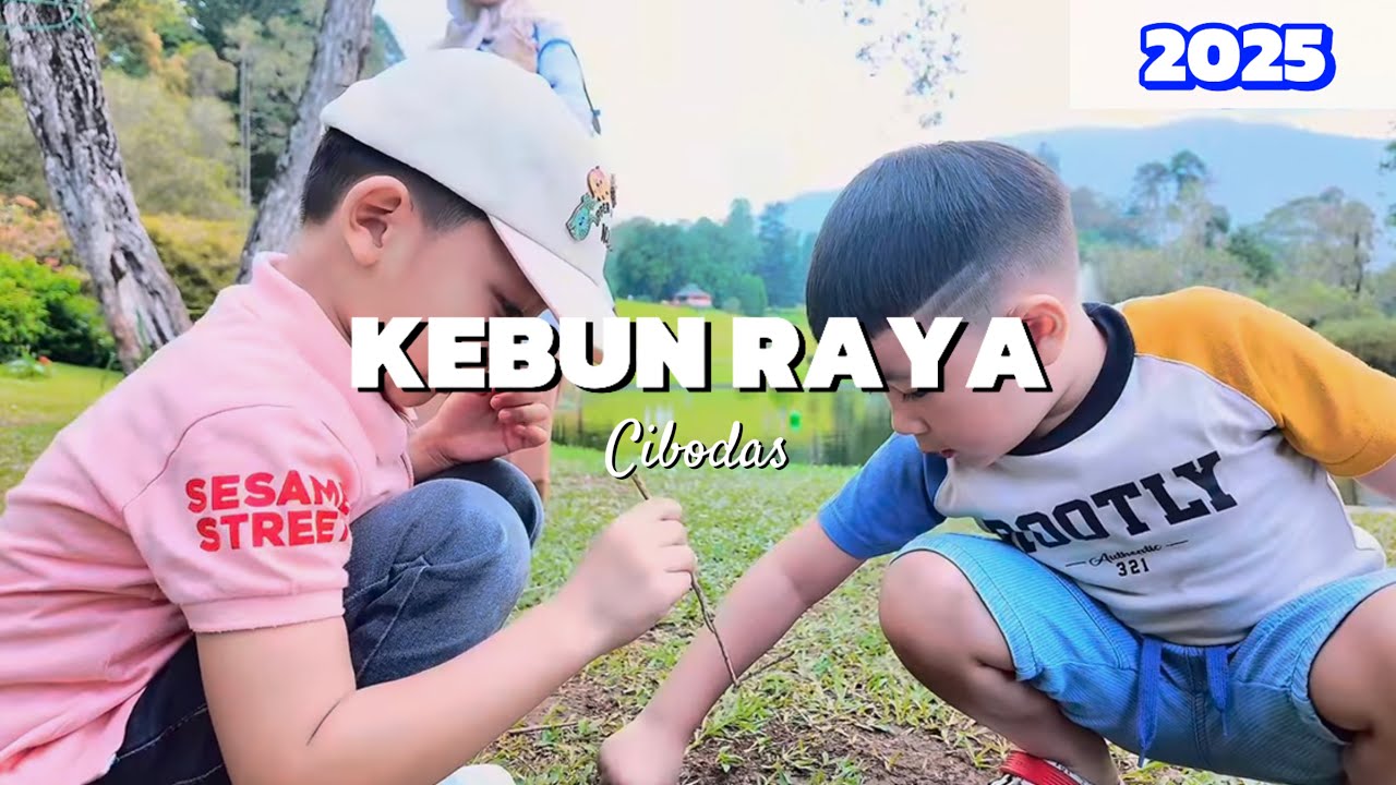 KEBUN RAYA CIBODAS TERBARU 2025 ‼️ | SURGANYA TEMPAT PIKNIK KELUARGA DI CIPANAS PUNCAK CIANJUR