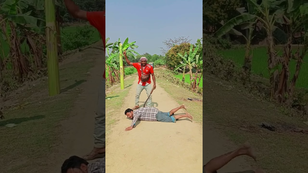 Today's best video #comedy