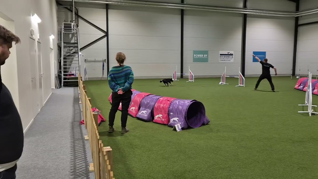FrostFajten - Agility Hoppklass 3A - Daniel och Vilgot