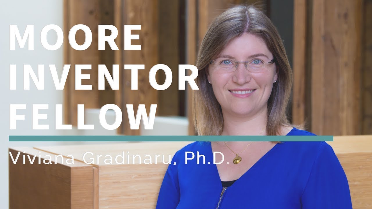 Viviana Gradinaru, Ph.D. | Moore Inventor Fellow