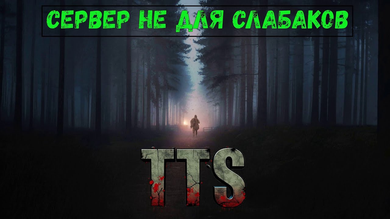📢Dayz прогулка. 6 часть Сервер TTS PVP Hardcore. #dayz #tts #survival #hardcore