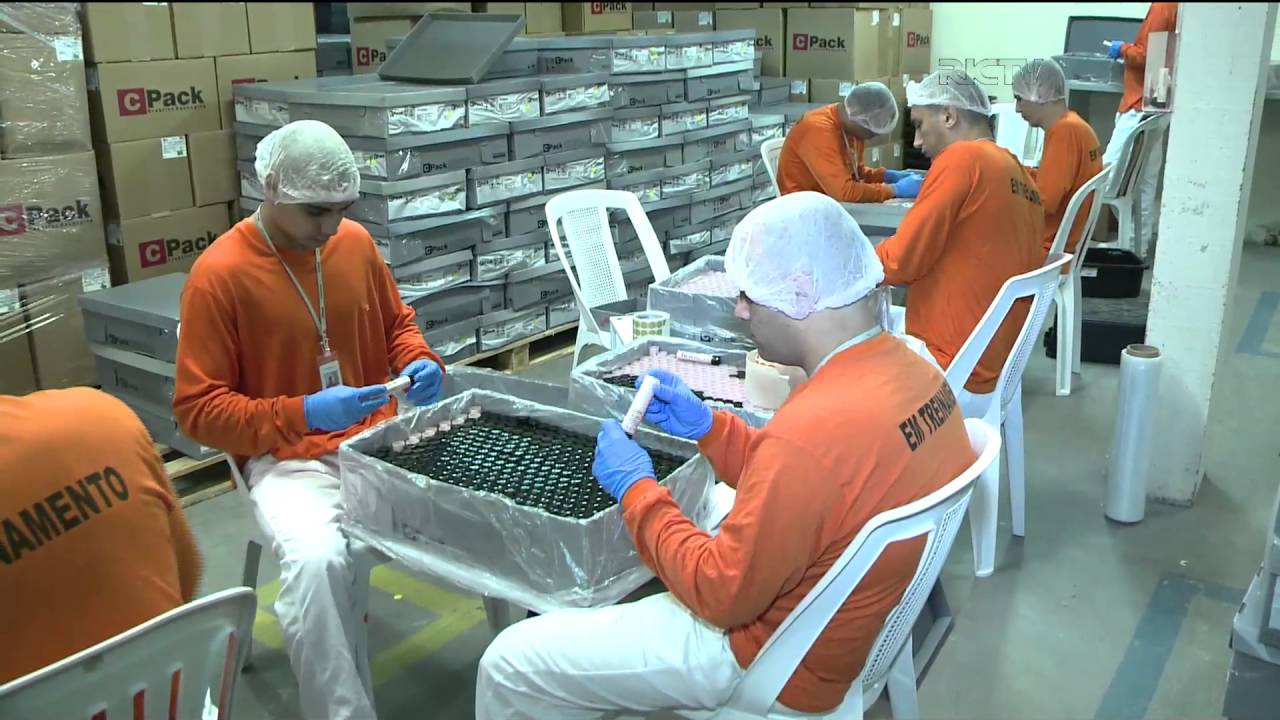 Série de reportagens mostra como funciona a ressocialização de presos em Santa Catarina