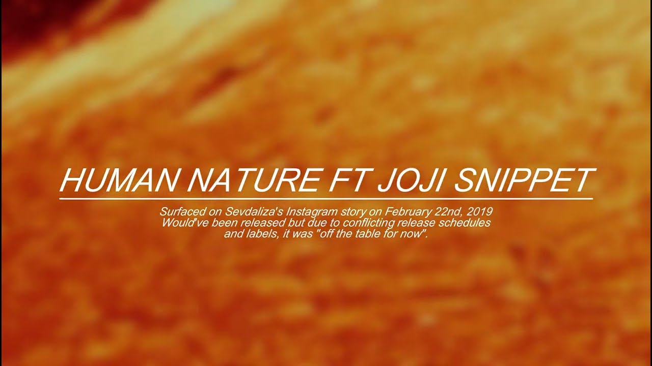 Sevdaliza - Human Nature (ft. Joji) - 2019 Snippet