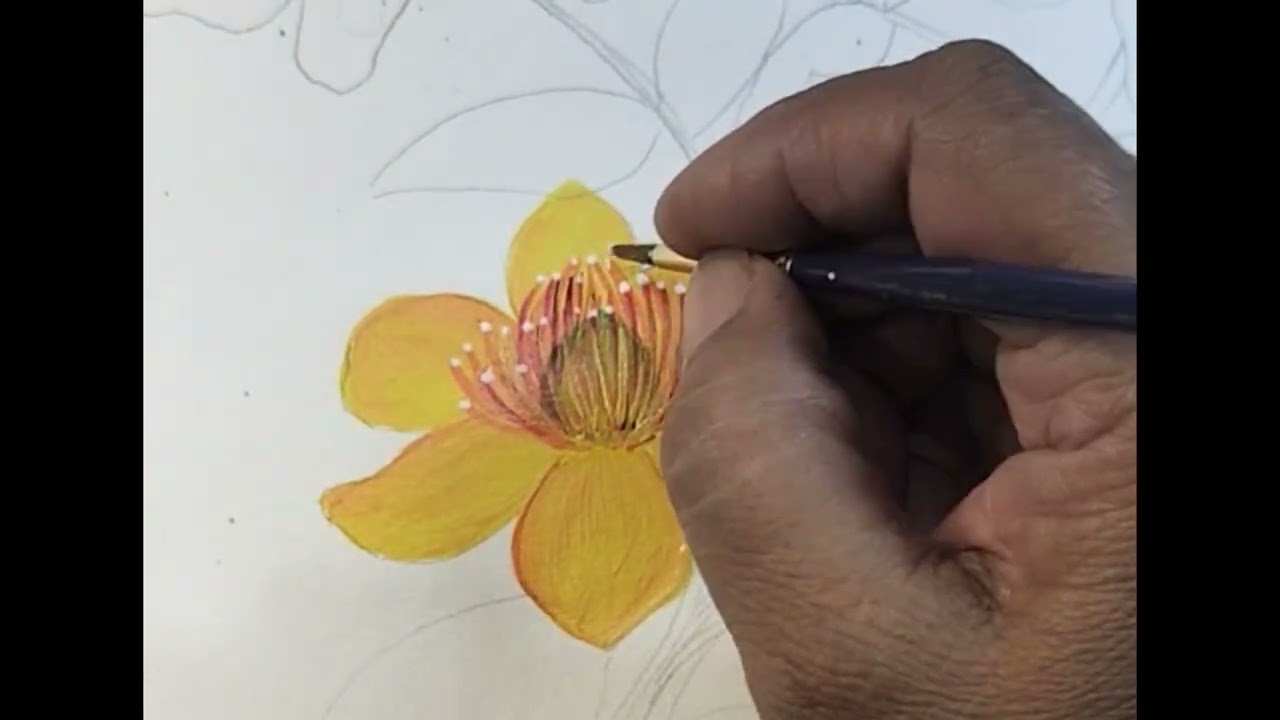 Sun-Kissed Petals | St. John’s Wort Flower Art”