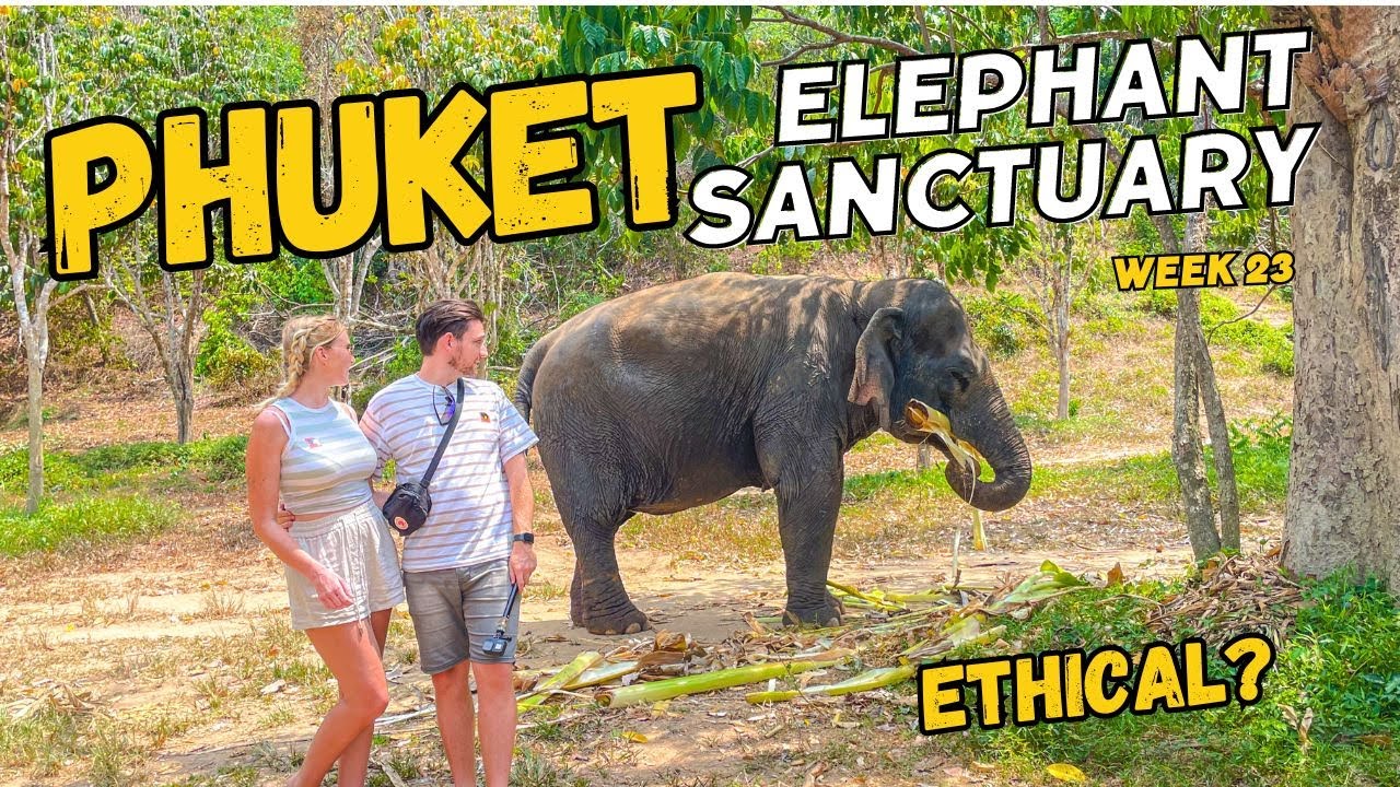 Visiting an ELEPHANT Sanctuary in Phuket Thailand ~ ETHICAL OR NOT?