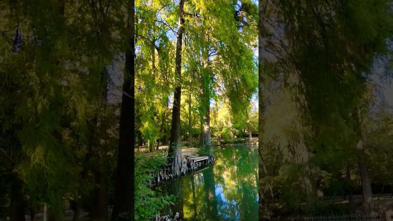 Botanika bog'i 