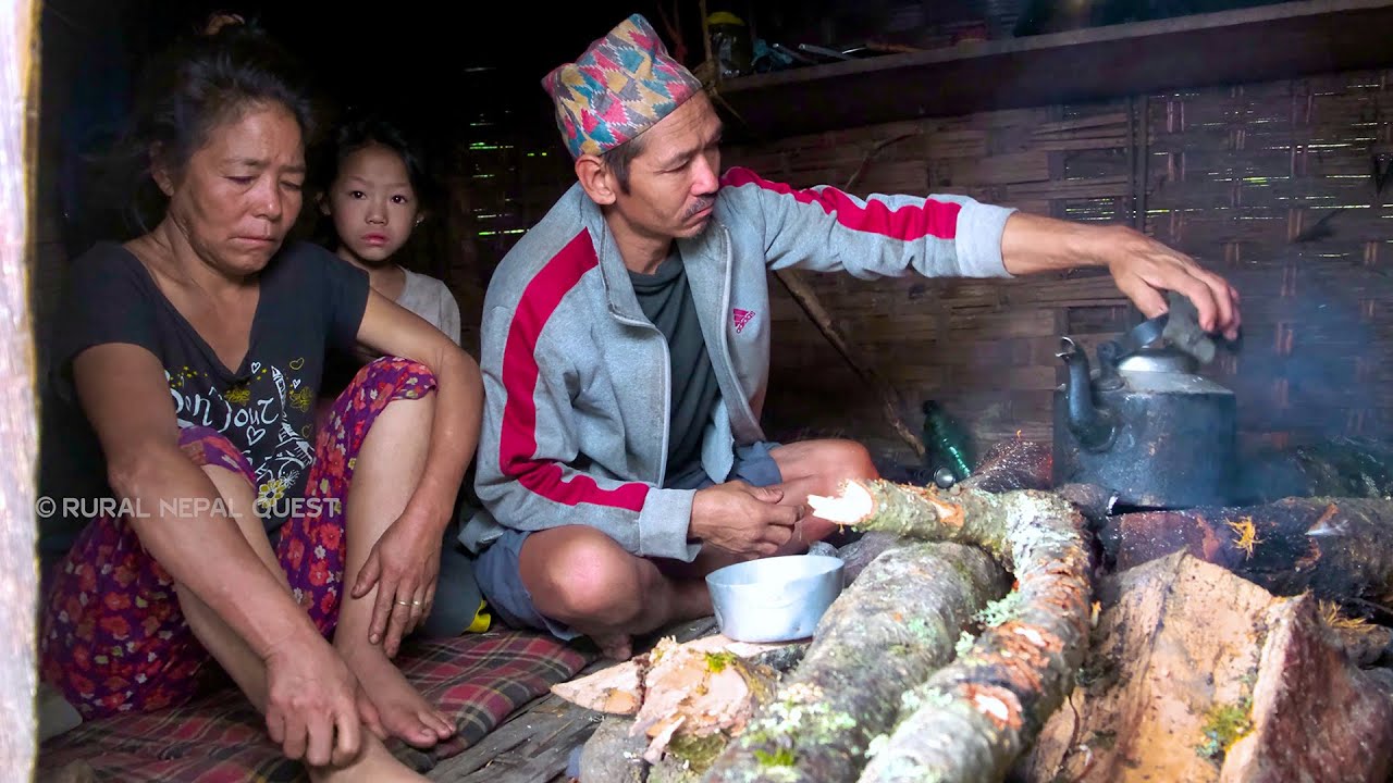 Family in the jungle || Season - 2 || Video - 31 || Family in the Cowshed || Rural Nepal ||