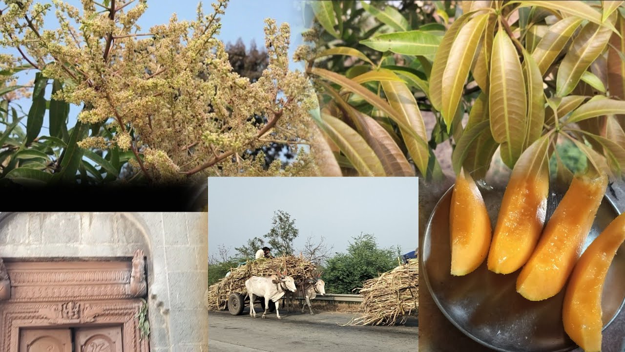 My peaceful day with friend and In farm # refreshing myself 