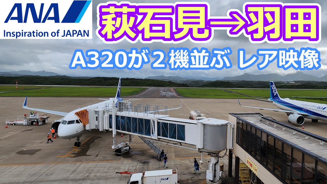 【ANA 萩石見→羽田】 A320で光り輝く夜の羽田空港へ✈