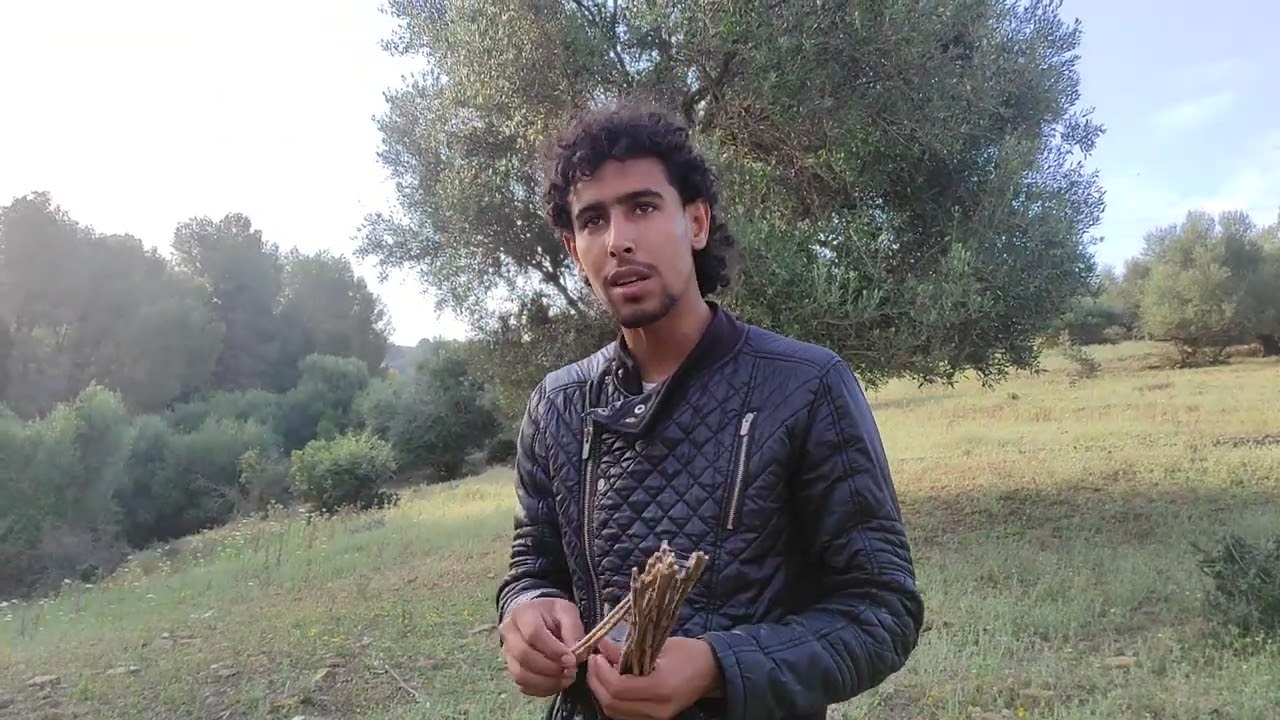 أحسن طريقة لصيد فراخ الحسون مجربة مئة بالمئة.   💯💯🦜😱