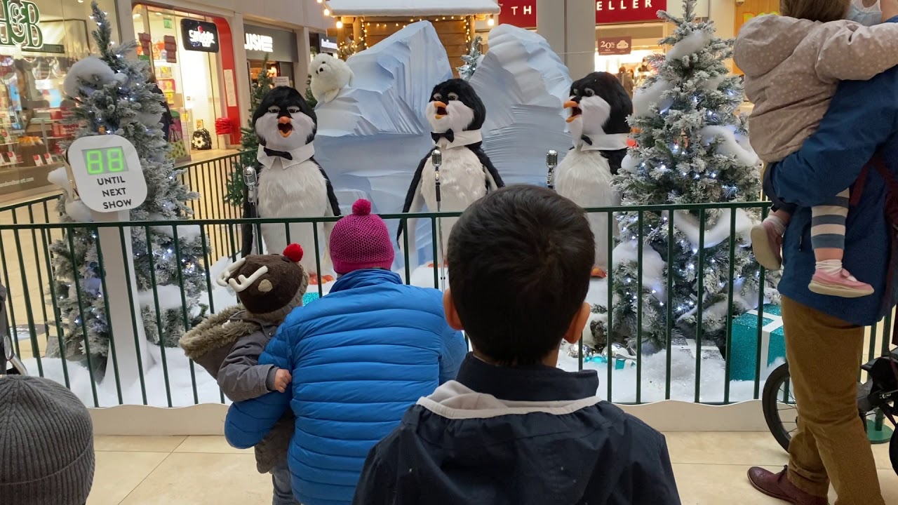 Cambridge Grande Arcade Christmas Display - Singing Penguins