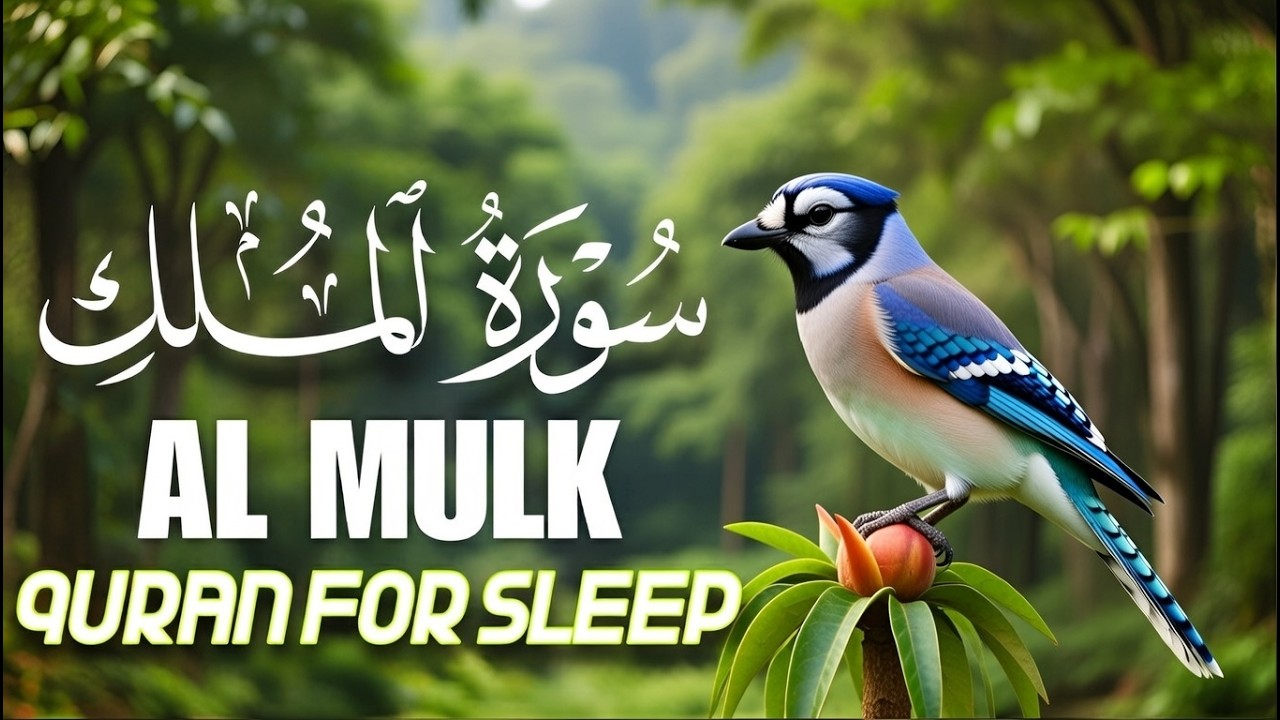 Surah Al‑Mulk Full Recitation Before Sleep | Protection from Grave & Inner Peace | Calm Night Quran