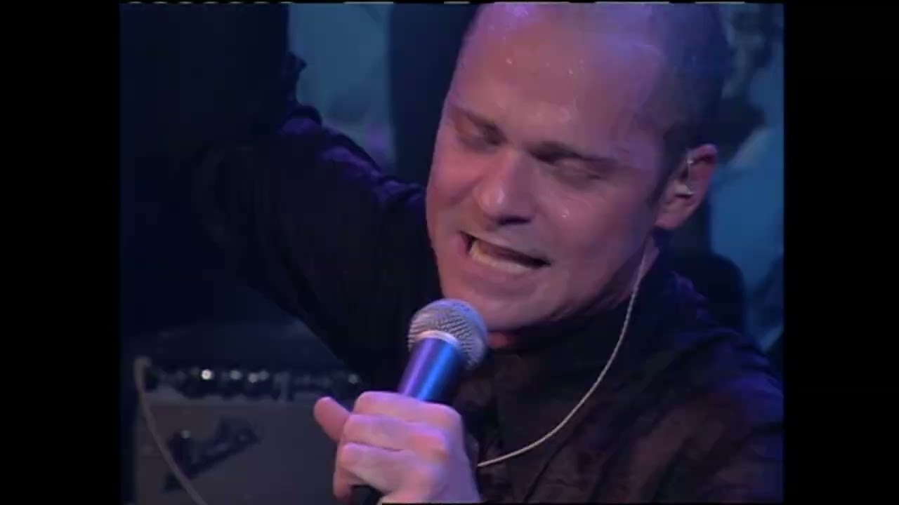 Tiger The Lion (Live From MuchMusic)