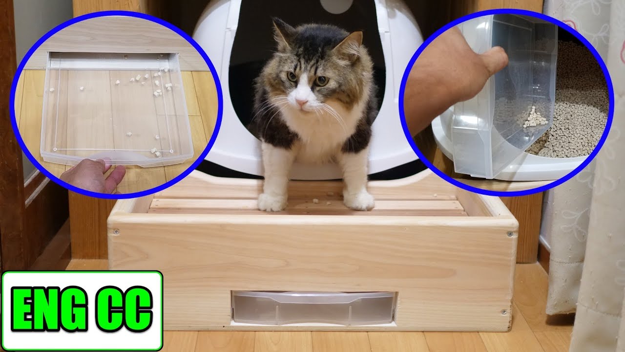 猫砂の飛び散り防止対策でトイレの前に手作り賽銭箱を設置！これで掃除も楽になる！？【Eng CC】