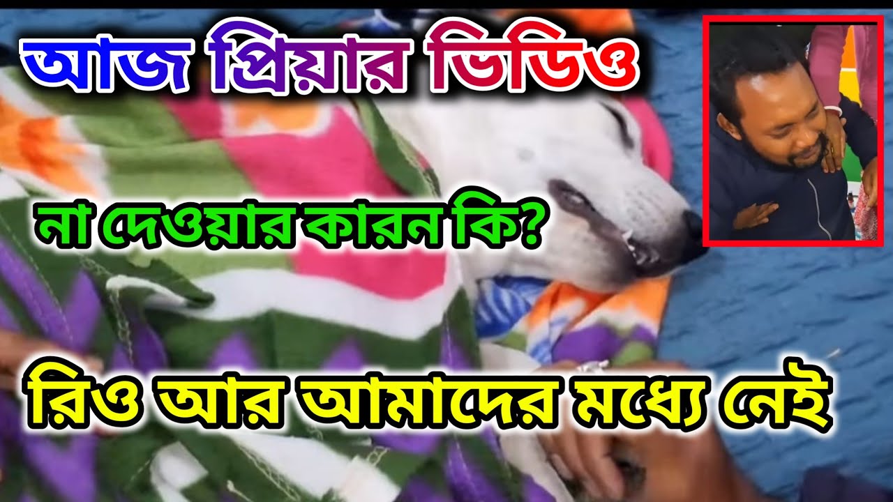 Priyar Video না দেওয়ার কারন 🤔 অভির রিও আর নেই 😥 চলেগেছে তারাদের দেশে @apvlogs1412 