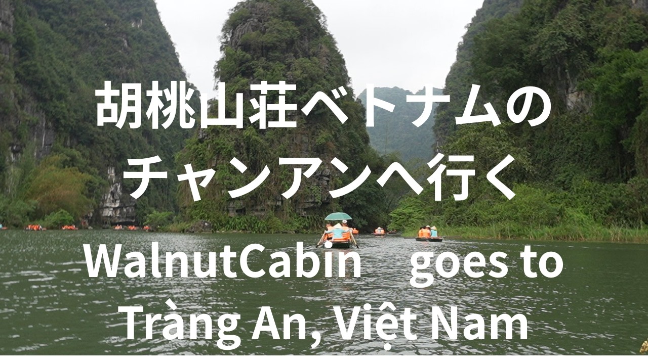 Punting in Tràng An