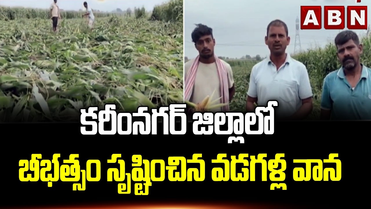 కరీంనగర్ జిల్లాలో బీభత్సం సృష్టించిన వడగళ్ల వాన | Heavy Hailstorm in Karimnagar | ABN Telugu