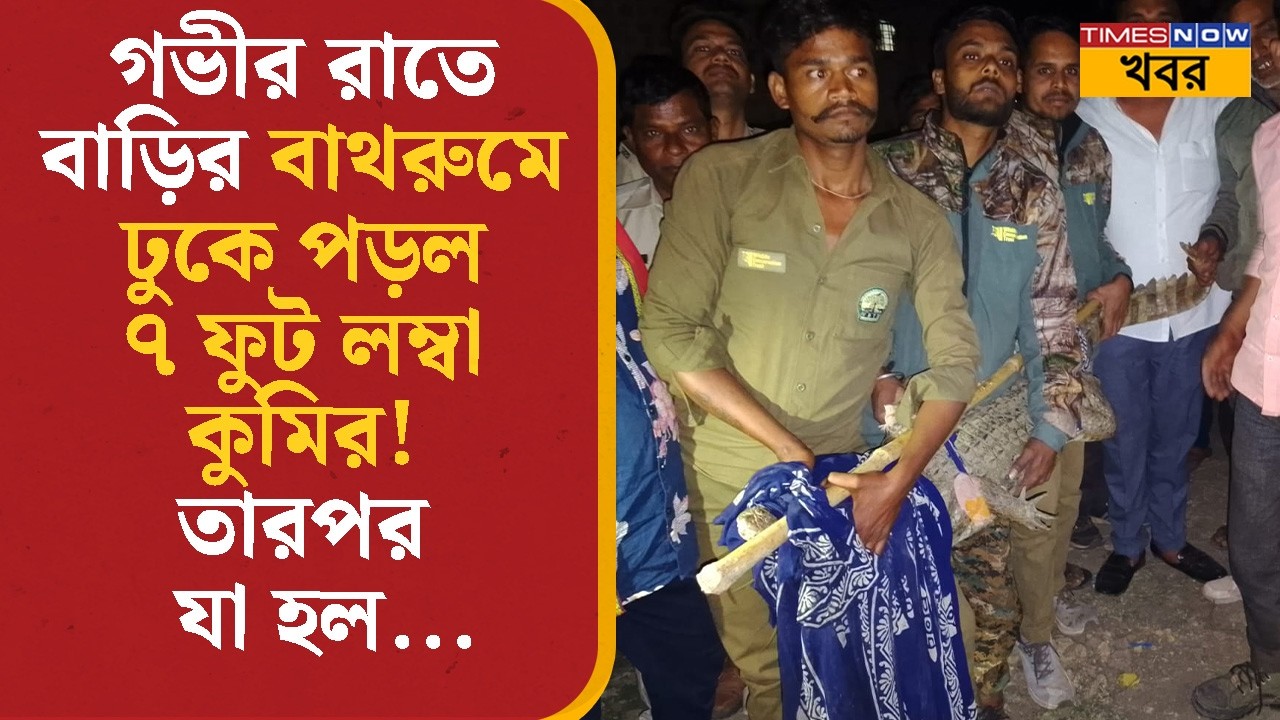 Viral Video | গভীর রাতে বাড়ির বাথরুমে ঢুকে পড়ল ৭ ফুট লম্বা কুমির! তারপর যা হল...| Crocodile | News