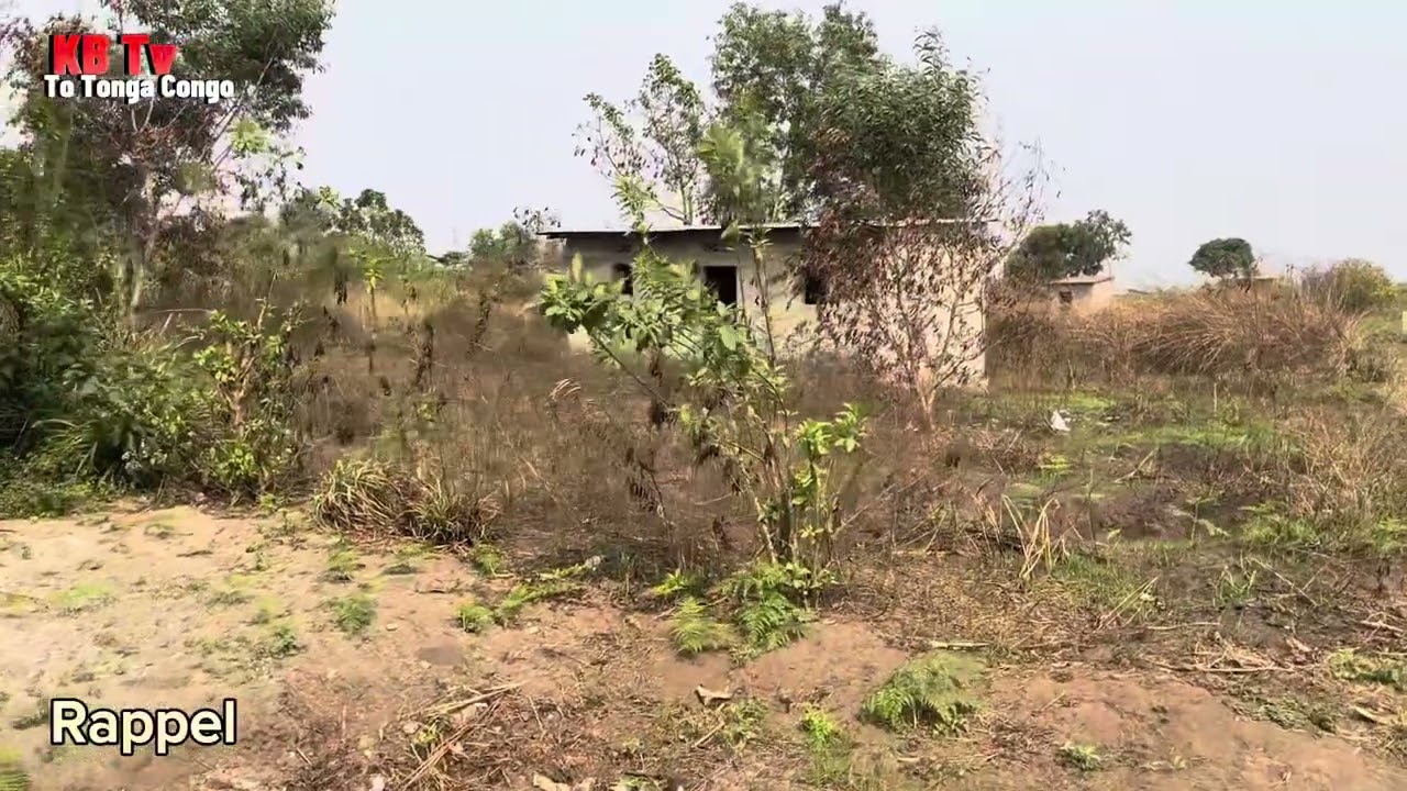 31/05/25 NDEKO YEBA KO BATELA BA TERRAINS NAYO SINON TE OKO LELA YO MOKO TOLI YA PETE SUITE