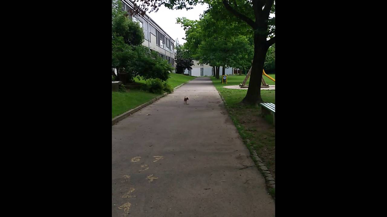 Словения 2016. Цены на продукты. Хлеб.