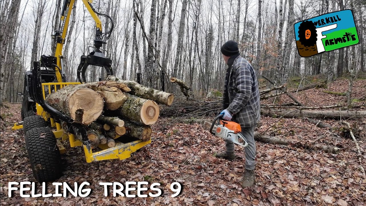 OF 66 FELLING TREES 9