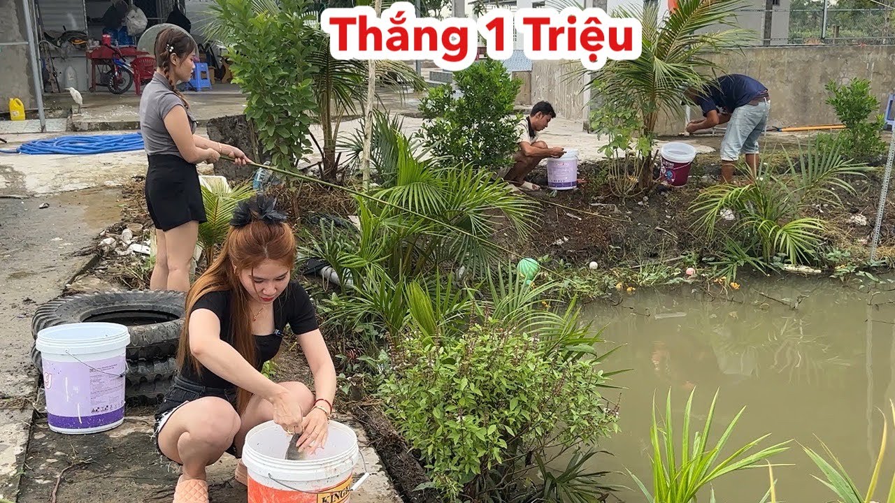 Thử Thách Câu Cá Thắng Ngay 1 Triệu, Cả Team Câu Cá Giật Liên Tục Và Cái Kết Bất Ngờ
