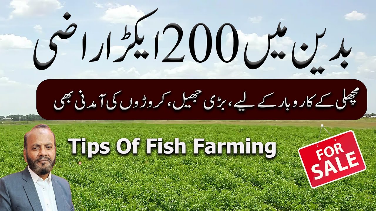 200 Acres Land for Sale in Badin - Big Fish Farm, Huge Lake & Million-Rupee Income!