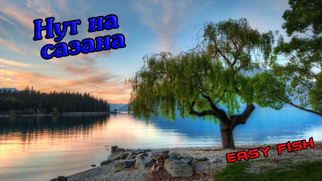 Как приготовить нут для рыбалки на сазана.