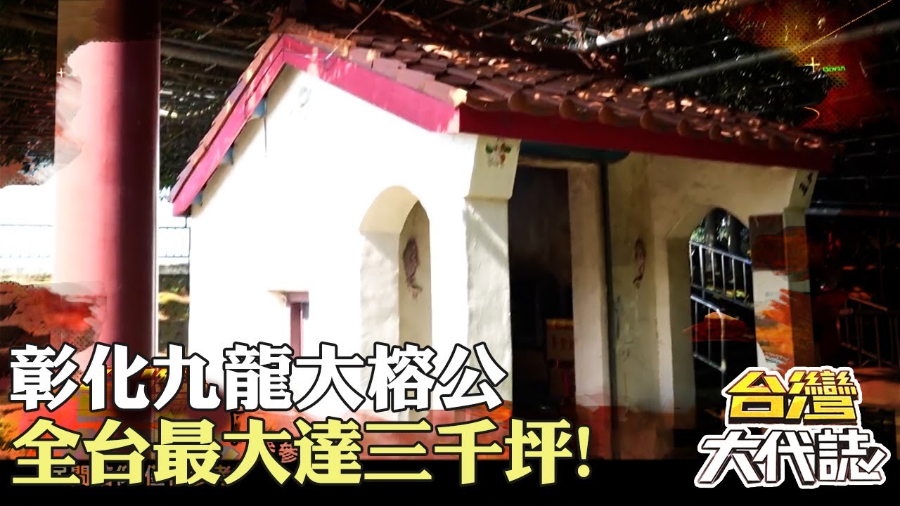 彰化九龍大榕公 全台最大達三千坪！樹海藏雙廟？！廖千歲附靈濁水溪石？！｜《#台灣大代誌》 @57GoFun
