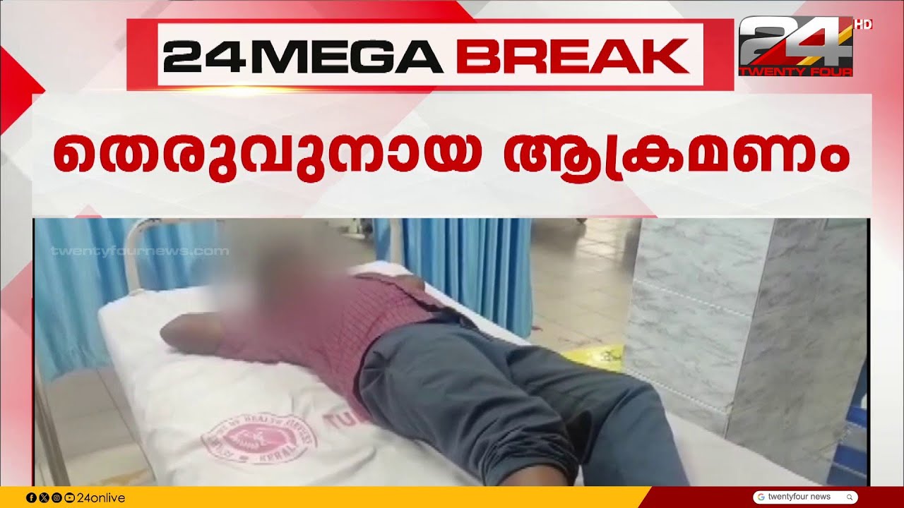 കൊല്ലത്ത് തെരുവ് നായയുടെ ആക്രമണത്തിൽ രണ്ട് പേർക്ക് പരിക്ക്