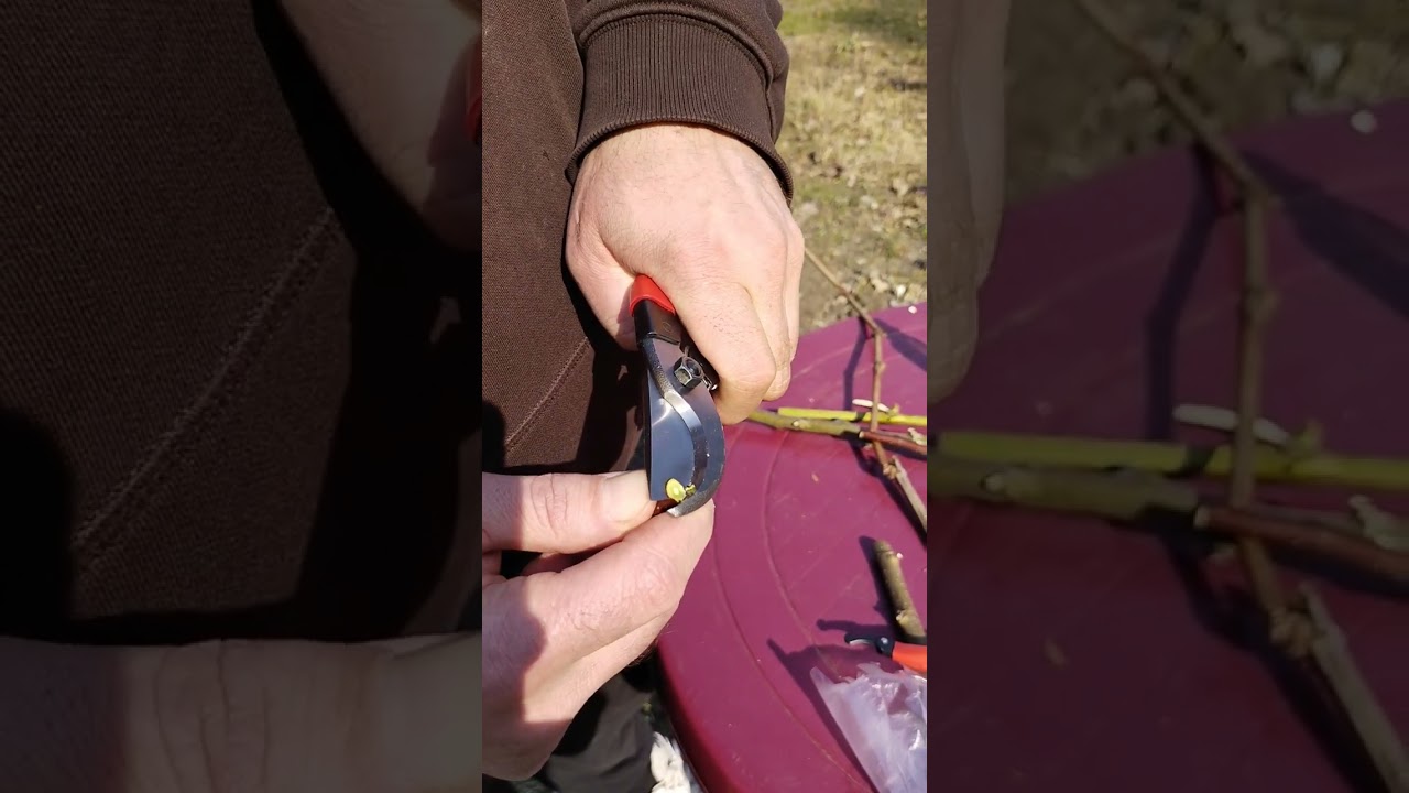 Порівняння секаторів Okatsune 103/ Tenju 200