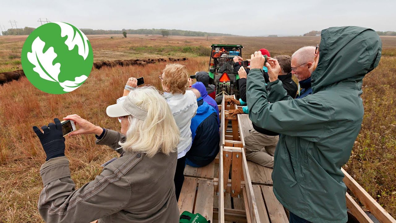Twenty Years of Tallgrass Prairie Restoration at Nachusa Grasslands