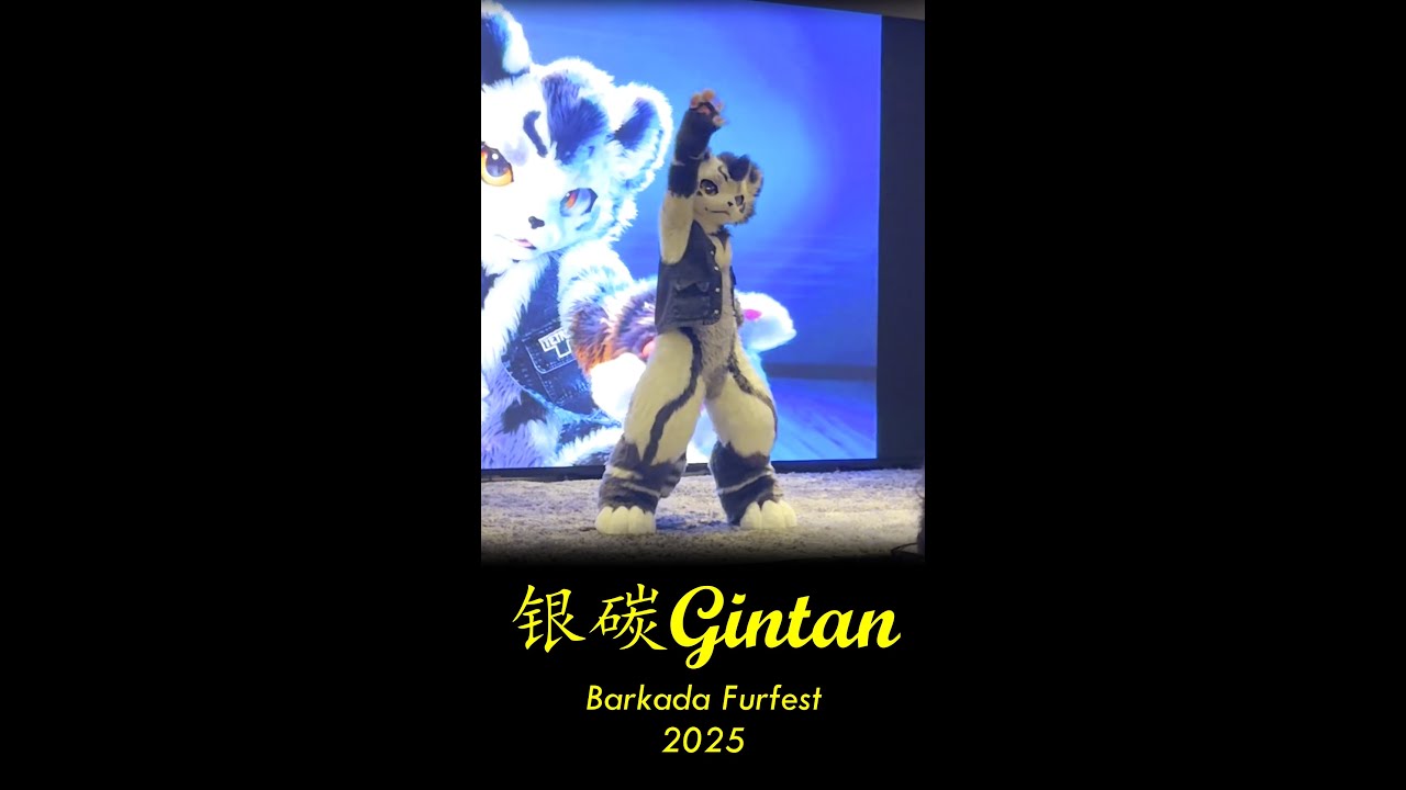 【Fursuit Dance】银碳Gintan - K-POP Demon Hunters 'GOLDEN' (Courtesy of Zane)