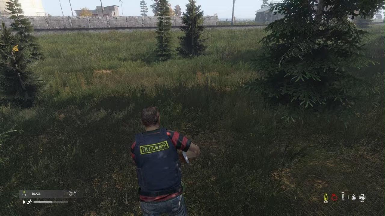 DayZ_20260109173540