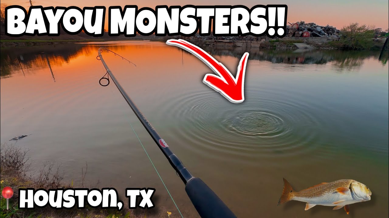 Catching MONSTERS in Houston Bayou!! (NEW PB) | Downtown Houston 