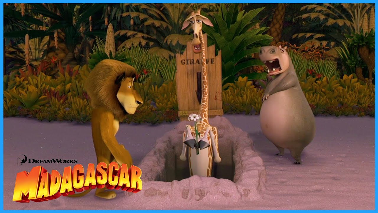How to Escape the Island of Madagascar | DreamWorks Madagascar