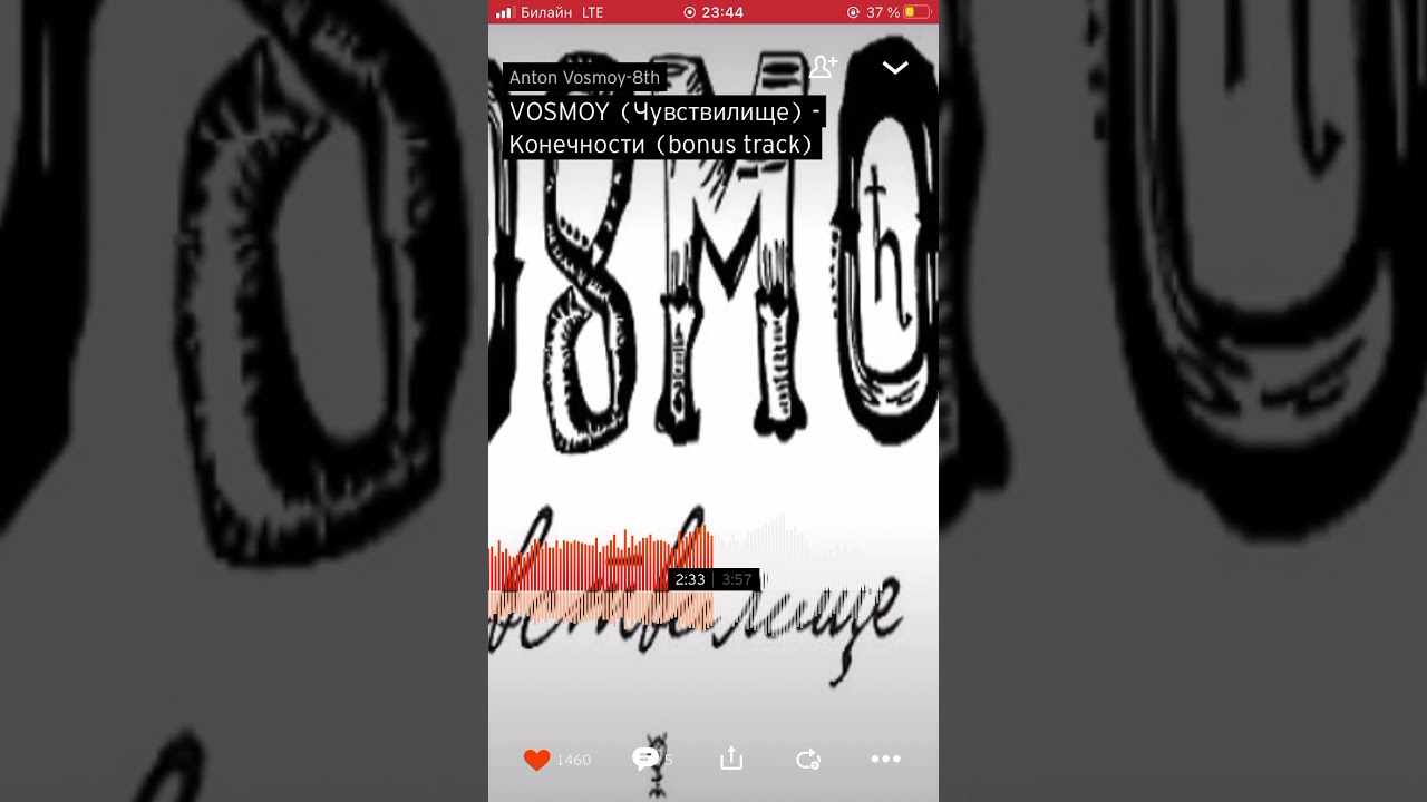 ANTON VOSMOY — конечности